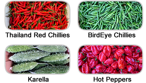 Exotic Vegetables